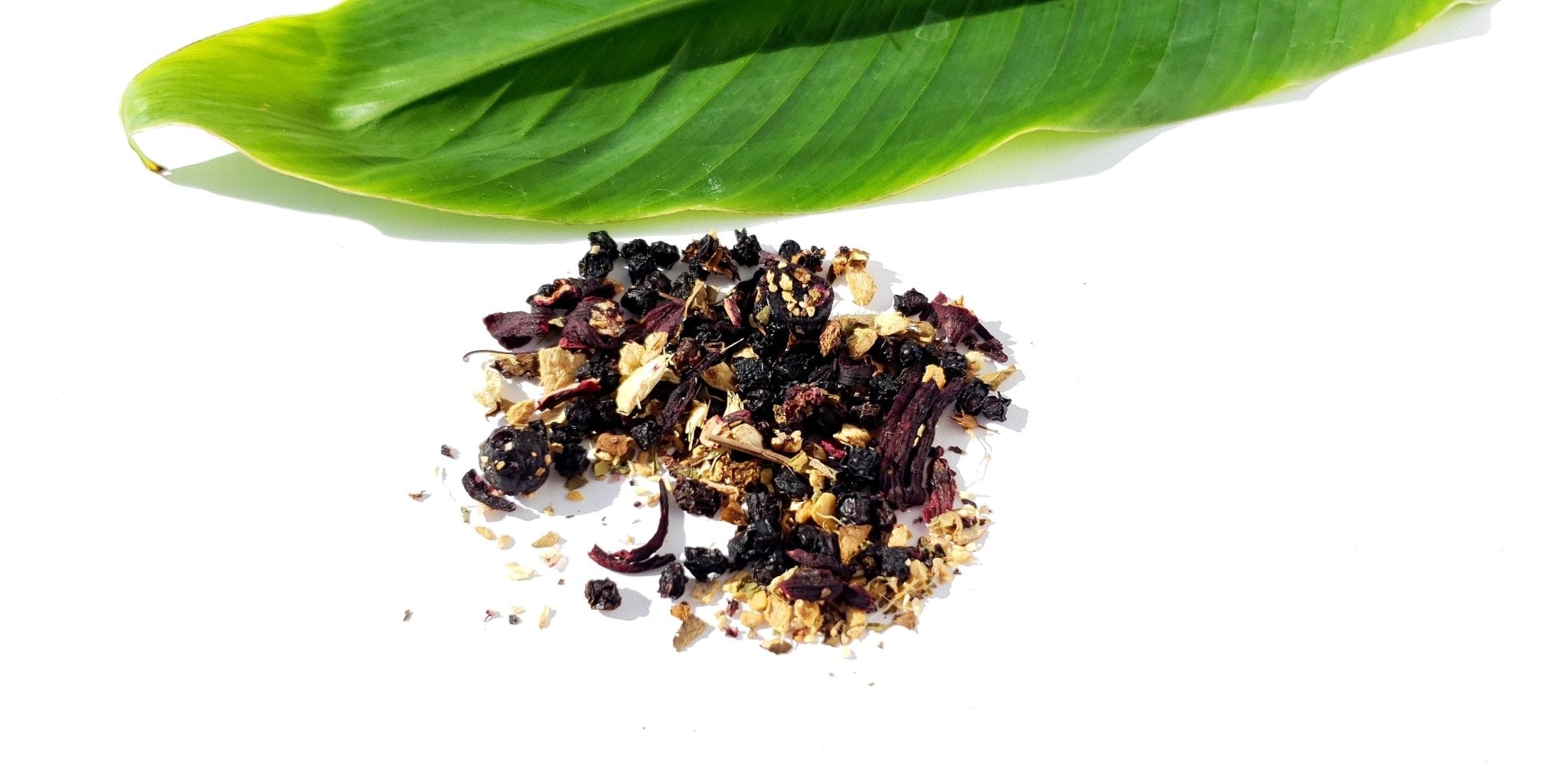 Release Your ImmuniTEA - FREEALITEA