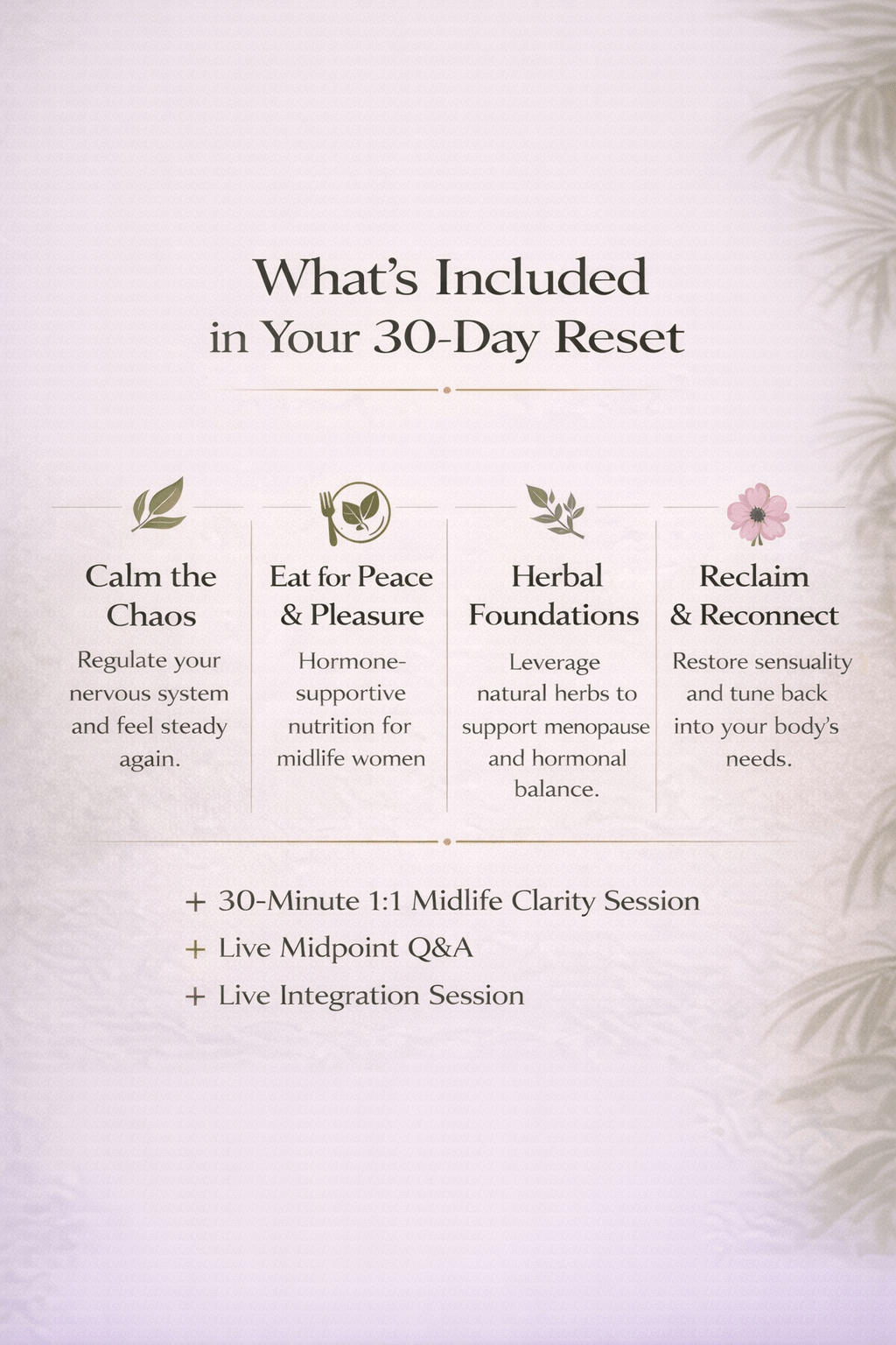 The Midlife Reset™ 30 Days to Feel Alive Again - FREEALITEA